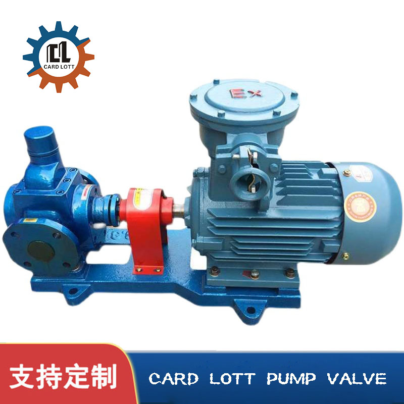 进口YCB圆弧齿轮泵 油泵船用增压泵 高温电动齿轮泵