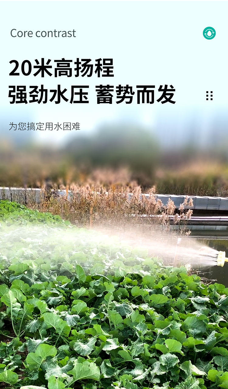 详情图片_03.jpg