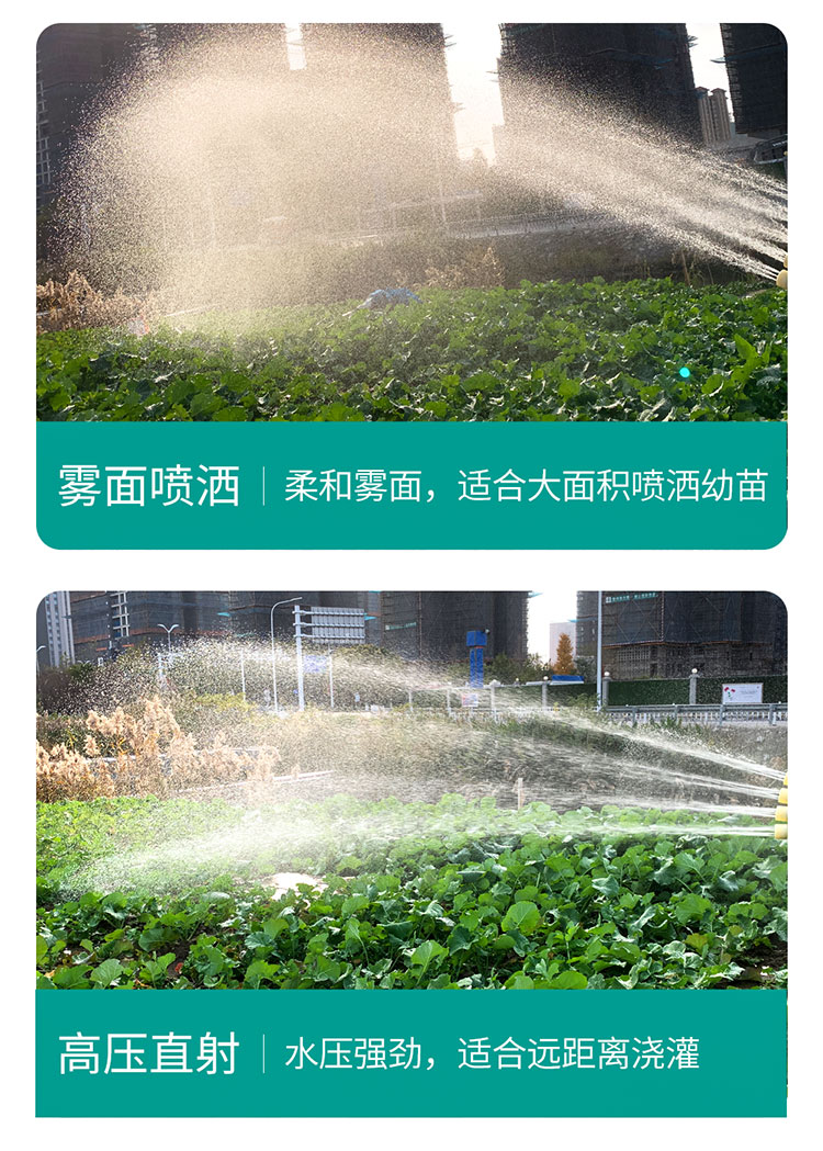 详情图片_05.jpg